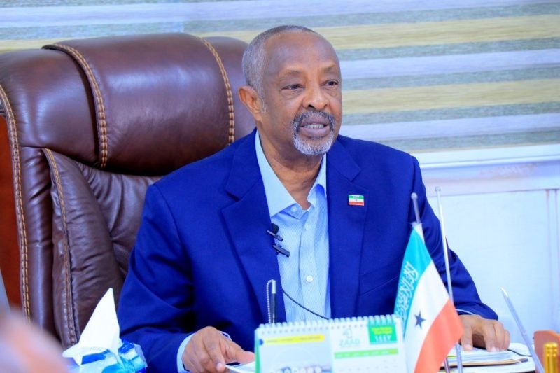 Kahin Won Kulmiye’s Nomination—But Has He Won the Party?