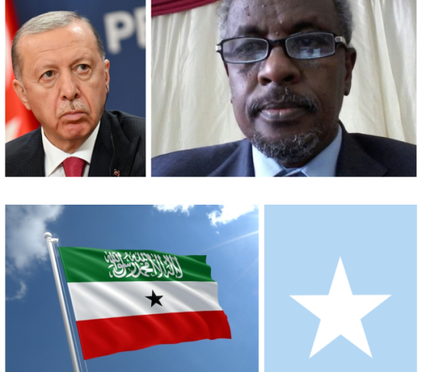 waryatv.com turkey somaliland