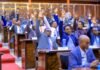 Can Parliament Become the Centre of Somaliland’s Opposition Politics?